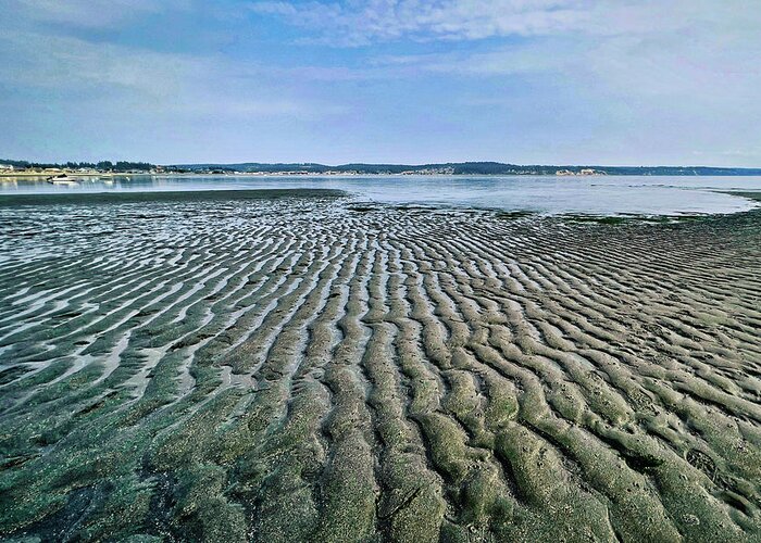 Beach Greeting Card featuring the photograph Tide rivulets by Bradley Morris