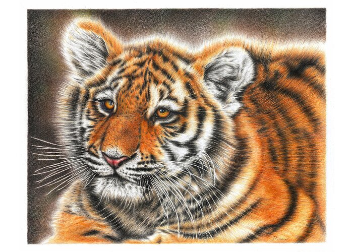 Tiger Greeting Card featuring the drawing Tiger Cub by Casey 'Remrov' Vormer