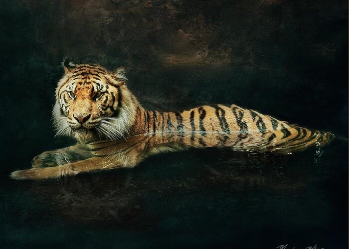 Texture Greeting Card featuring the photograph Tiger In Water by Marjorie Whitley