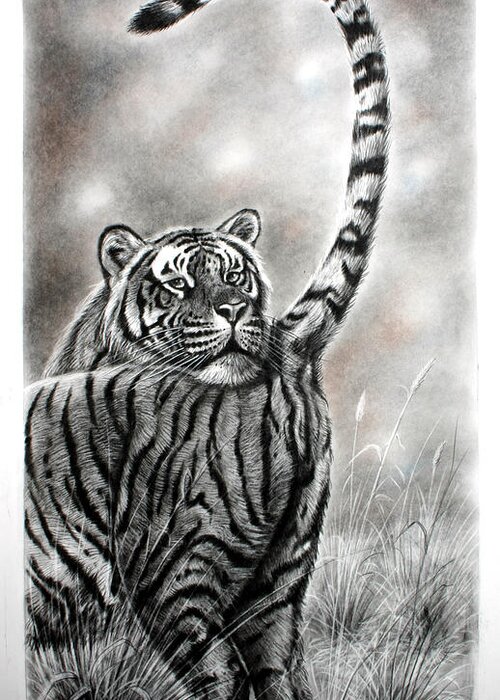 Tiger Tail Painting By Navratan