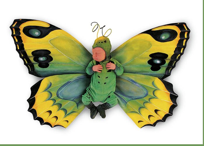 Butterfly Greeting Card featuring the photograph Tiny Butterfly #1 by Anne Geddes