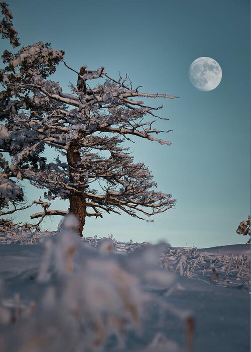 Landscape Greeting Card featuring the photograph To the moon by Thomas Nay