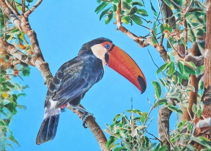 Toucan Greeting Card featuring the painting Toucan by John Neeve