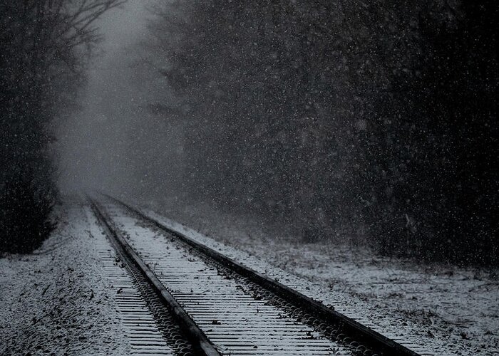 Train Greeting Card featuring the photograph Tracks in the Snow by Denise Kopko