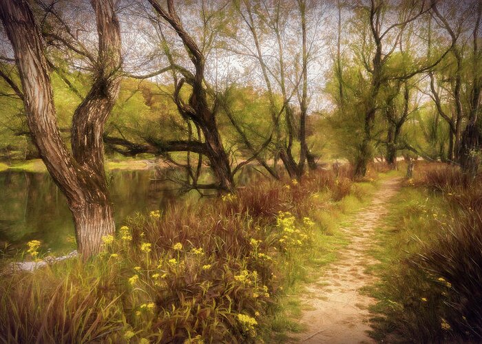 Trail Greeting Card featuring the photograph Trail through the Wildflowers Painting by Debra and Dave Vanderlaan