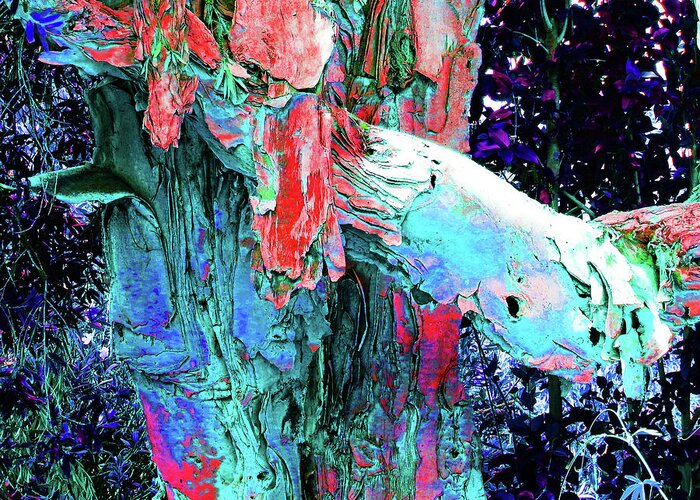 Tree Greeting Card featuring the photograph Abstract Tree Bark by Andrew Lawrence