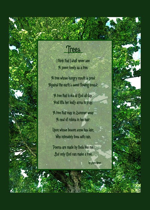 Trees Greeting Card featuring the photograph Trees by Joyce Kilmer by Leslie Montgomery