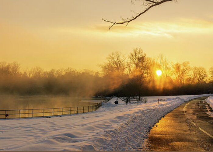 Snow Greeting Card featuring the photograph Trexler Park Pond Foggy Winter Sunrise by Jason Fink