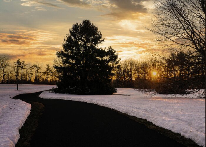Sunrise Greeting Card featuring the photograph Trexler Park - Upper Paths Winter Sunrise Square by Jason Fink