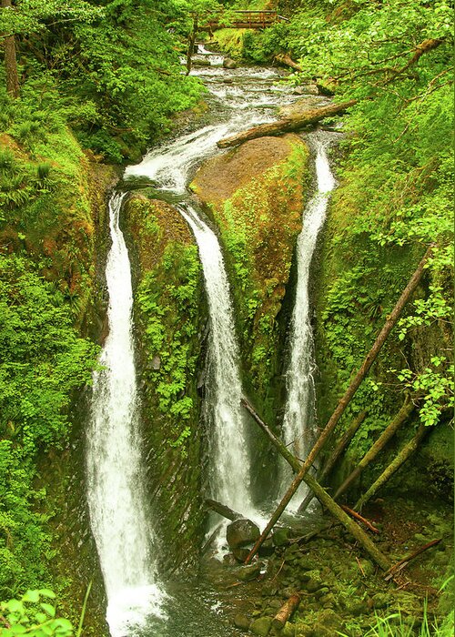 Columbia River Gorge Greeting Card featuring the photograph Triple Falls, Columbia River Gorge Hikes by Leslie Struxness