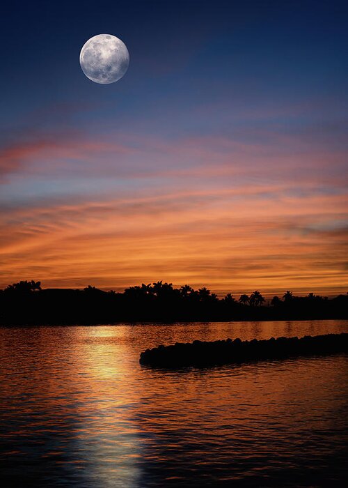 Full Moon Greeting Card featuring the photograph Tropical Moon by Laura Fasulo