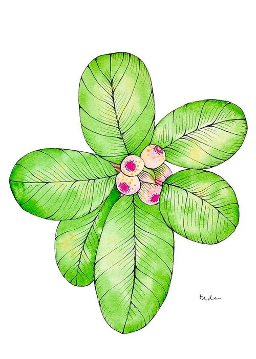 Tropical Greeting Card featuring the painting Tropical Plant with Pink Berries by Catherine Bede