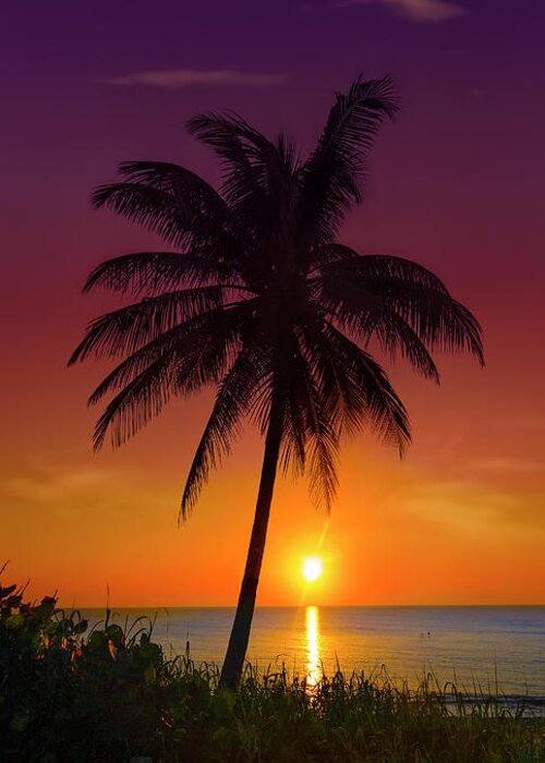 Sunrise Greeting Card featuring the photograph Tropical Sunrise by Mark Andrew Thomas
