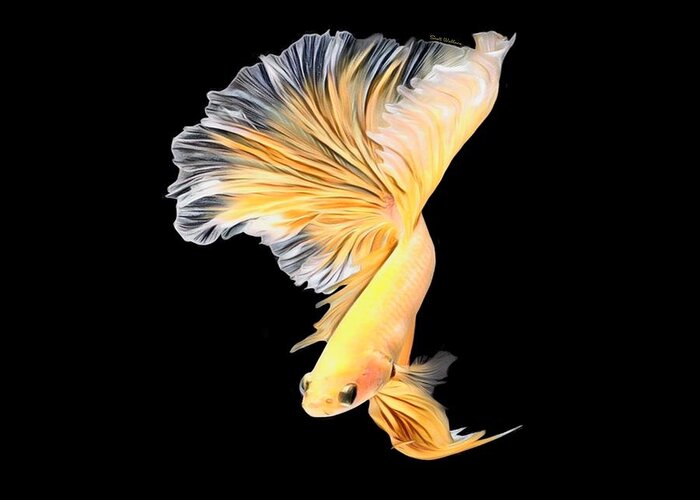 Tropical Yellow Betta Fish On Black Background Greeting Card by