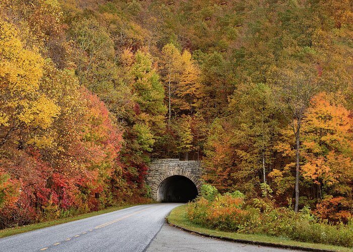 Blue Ridge Parkway Greeting Card featuring the photograph Tunnel of Fall on the Blue Ridge Parkway by Joni Eskridge