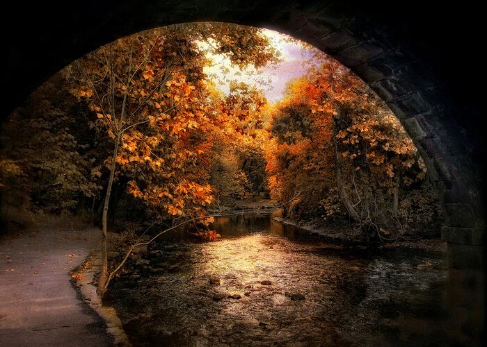 Autumn. Fall Greeting Card featuring the photograph Tunnel Vision by Jessica Jenney