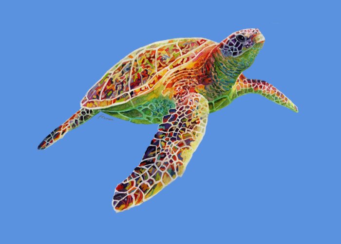 Turtle Greeting Card featuring the painting Turtle Reflections - solid background by Hailey E Herrera