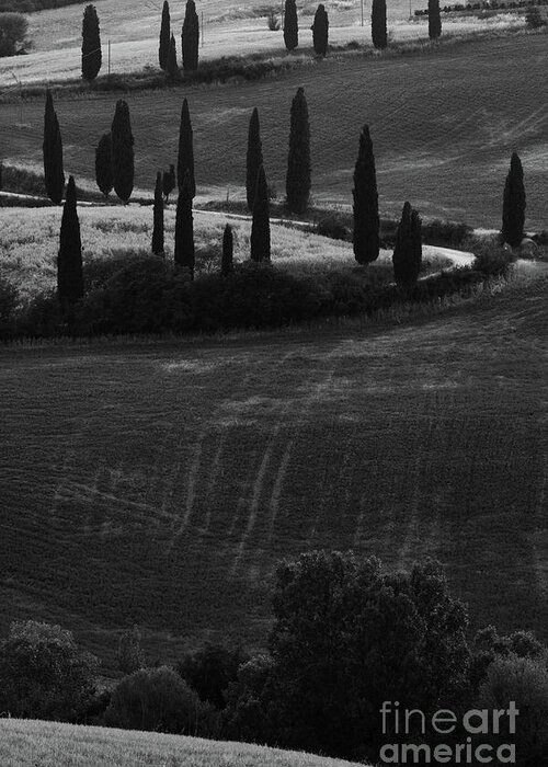 Italy Greeting Card featuring the photograph Tuscan Curves by John F Tsumas