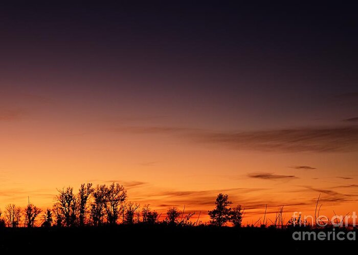 Photography Greeting Card featuring the photograph Twilight at Crex Meadows by Larry Ricker