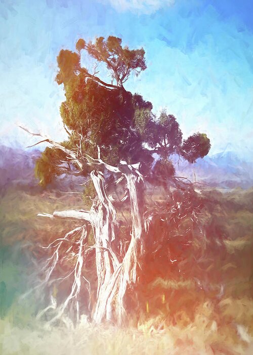Twisted Juniper Greeting Card featuring the digital art Twisted Juniper Painted by Cathy Anderson