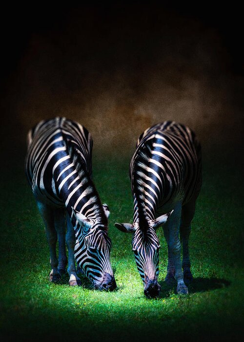 Zebra Greeting Card featuring the photograph Two for Dinner by Tom Gehrke