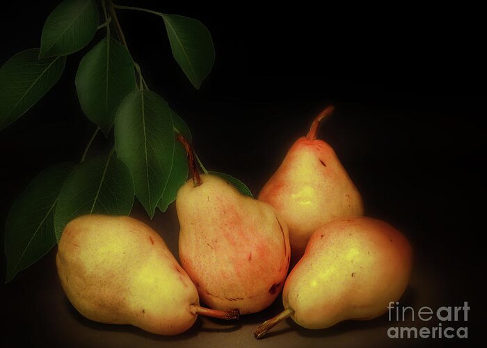Pears Greeting Card featuring the photograph Two Pair by John Anderson