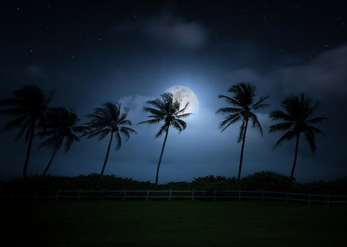 Moon Greeting Card featuring the photograph Under a Tropical Moon by Mark Andrew Thomas