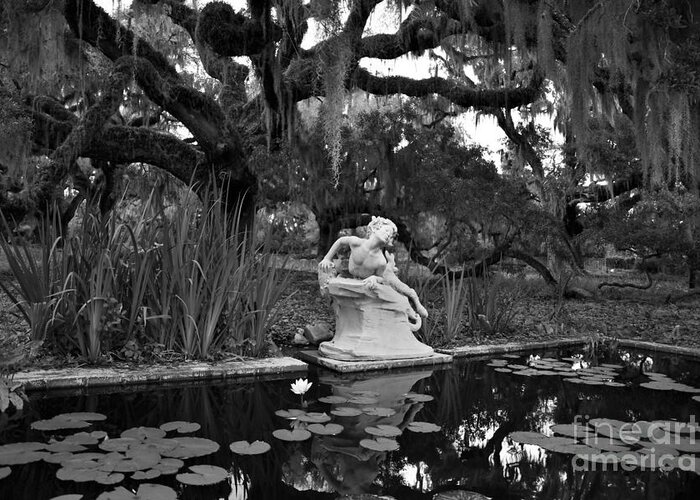 Garden Statue Greeting Card featuring the photograph Under The Oaks by Julie Adair
