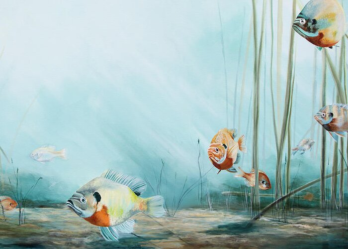Fish Greeting Card featuring the painting Breem by Katrina Nixon