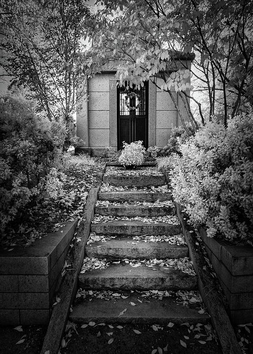 Autumn Greeting Card featuring the photograph Up the Autumn Staircase bw by Dan Carmichael
