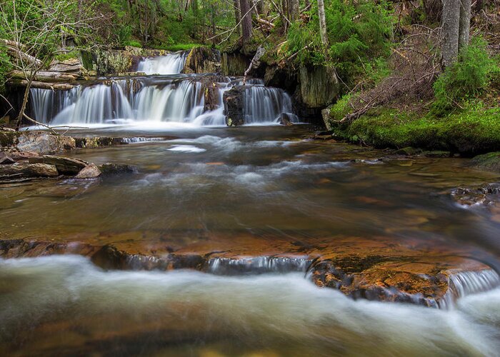 Upper Greeting Card featuring the photograph Upper Nathan Pond Brook Cascade by Chris Whiton