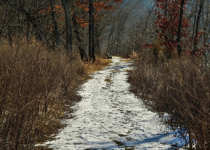Seasons Greeting Card featuring the photograph Upstate NY Winter Trails by Amelia Pearn