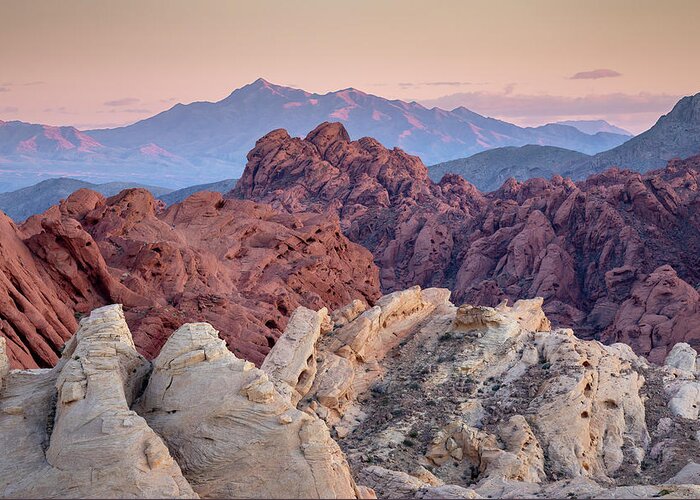 Nevada Greeting Card featuring the photograph Valley of Fire by Whit Richardson