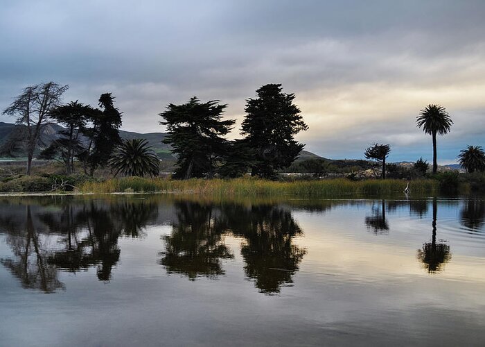 Ventura Greeting Card featuring the photograph Ventura California Coast Estuary by Kyle Hanson