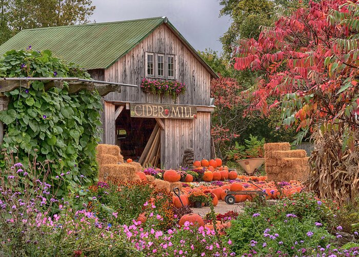 Hudak's Greeting Card featuring the photograph Vermont pumpkins and autumn flowers by Jeff Folger