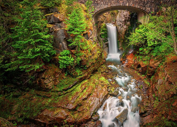 Mount Rainier National Park Greeting Card featuring the photograph Vibrant Christine Falls by Dan Mihai
