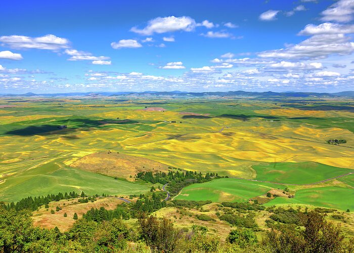 Hdr Greeting Card featuring the photograph View from Steptoe Butte by David Patterson