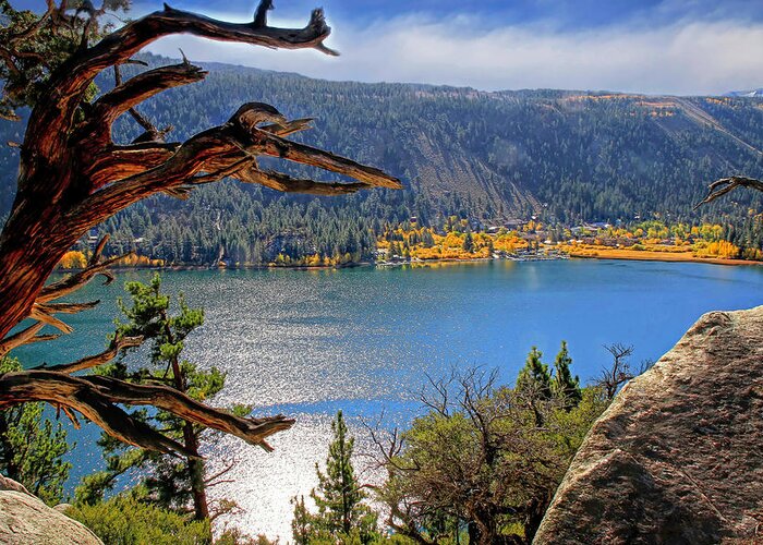 June Lake Greeting Card featuring the photograph View From the Top of June Lake by Donna Kennedy