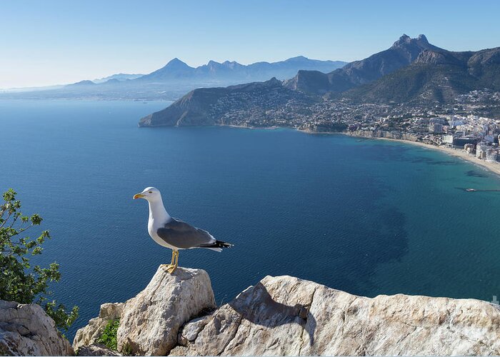Seagull Greeting Card featuring the photograph View towards the mountains of the Mediterranean coast by Adriana Mueller