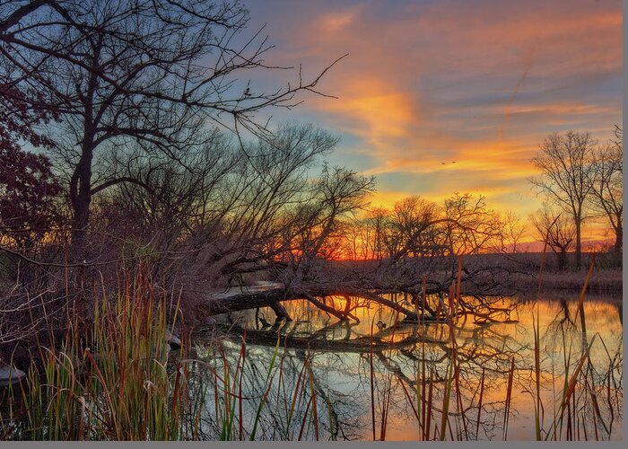 Viking Greeting Card featuring the photograph Viking Reflections - autumn sunset at fallen tree on Yahara River at Stoughton WI by Peter Herman