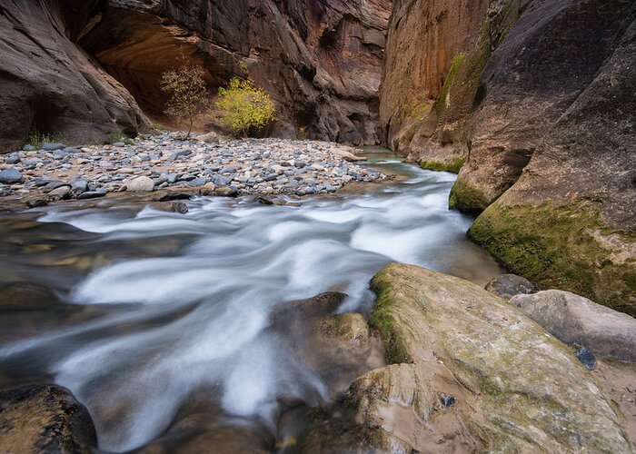 Zion Greeting Card featuring the photograph Virgin River Narrows by Wesley Aston