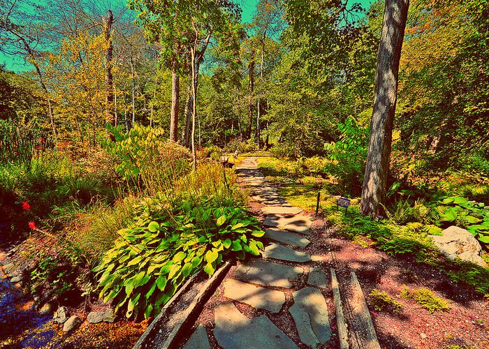 Arboretum Greeting Card featuring the photograph Walk with Mother Nature by Stacie Siemsen