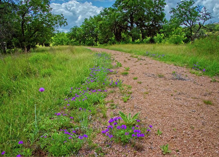 Texas Hill Country Greeting Card featuring the photograph Walking in Beauty by Lynn Bauer