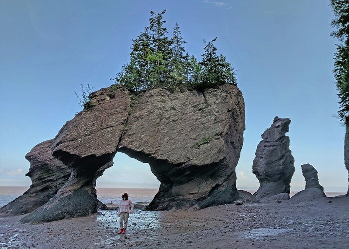 Hopewell Rocks Greeting Card featuring the photograph Walking on the ocean floor by Yvonne Jasinski