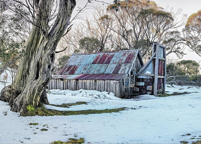 Wallaces Hut Winter High Plains Mountain Hut Greeting Card featuring the photograph Wallaces Hut - Winter by Mark Lucey