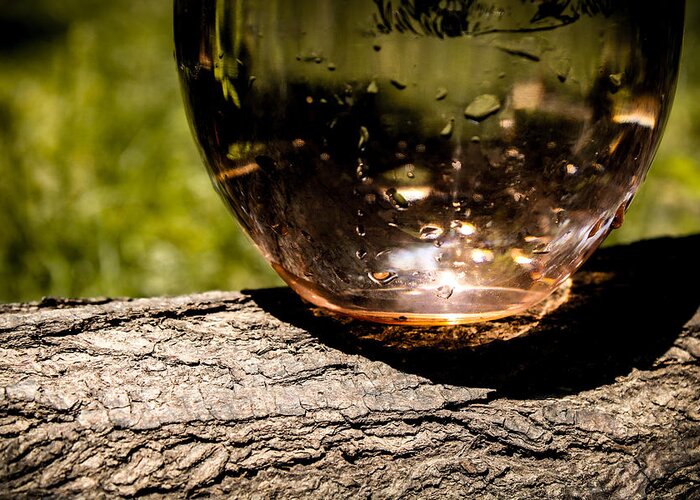 Water Greeting Card featuring the photograph Water Glass on a Log by W Craig Photography
