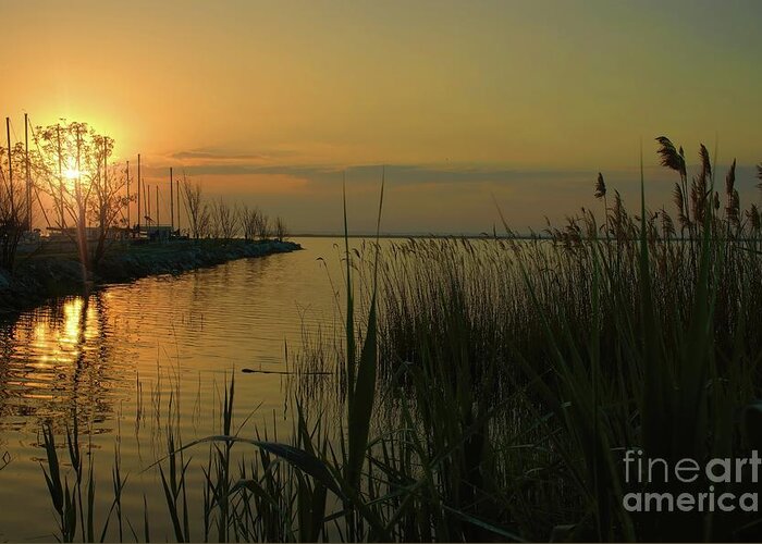 Sunrise Greeting Card featuring the photograph Water Reflections by Diana Mary Sharpton