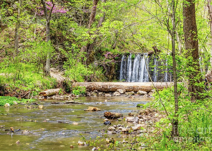Natural Falls State Park Greeting Card featuring the photograph Waterfall Along Dripping Springs Branch by Jennifer White