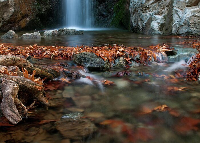 Troodos Greeting Card featuring the photograph Waterfall and river flowing with maple leaves on the rocks on the river in Autumn by Michalakis Ppalis