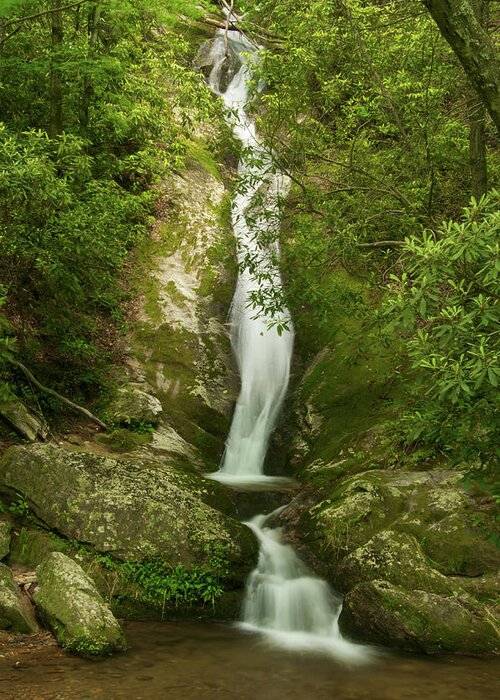 Waterfall Greeting Card featuring the photograph Waterfall in the Forest by Melissa Southern
